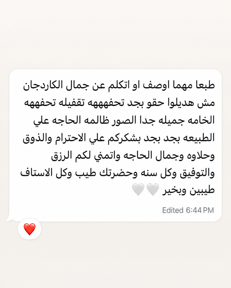 Customer review 3